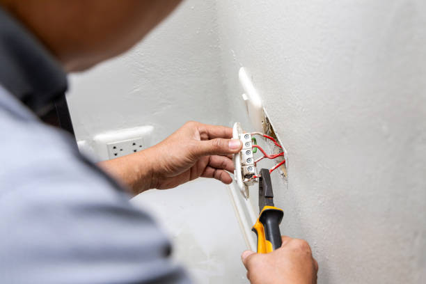 Best Electrician for Home Renovation  in Rio, WI